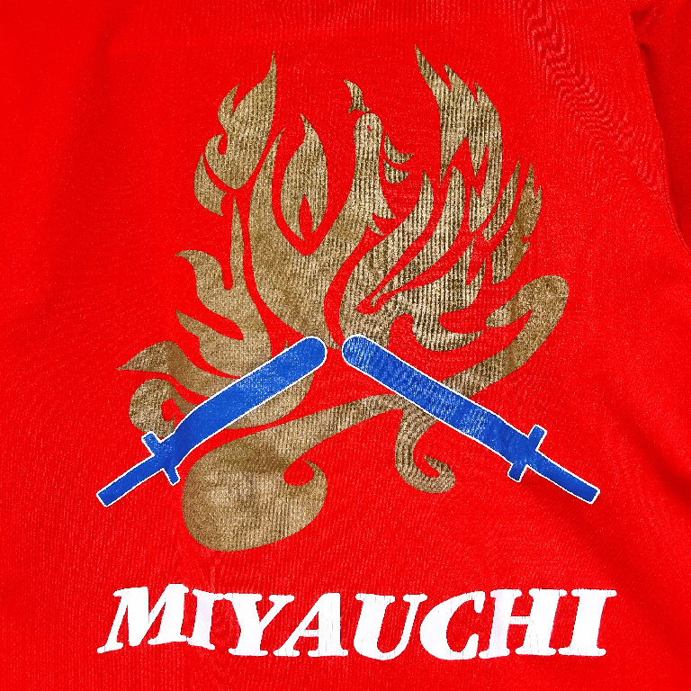 スポーツチャンバラ 宮内支部のメイン画像